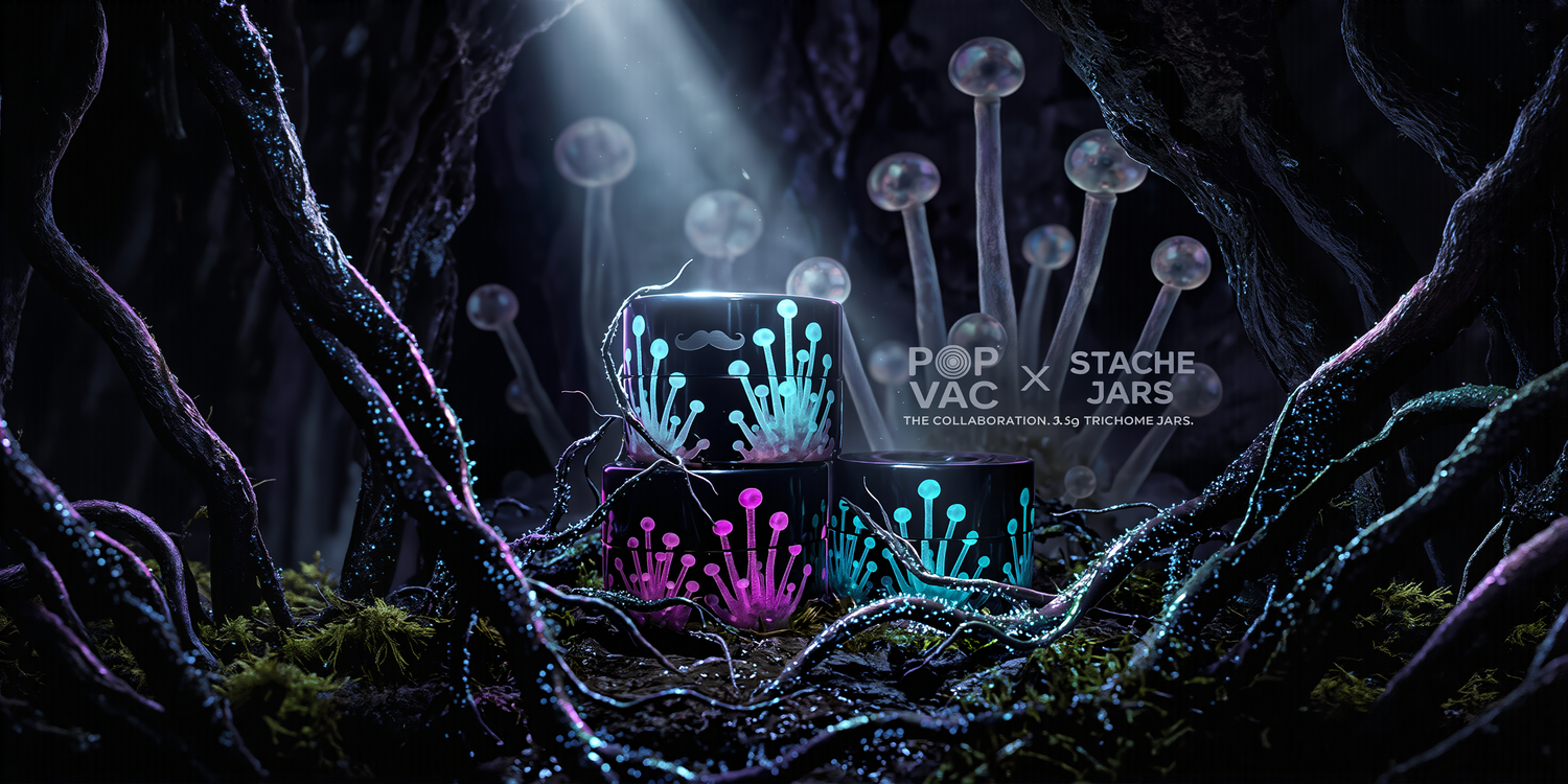 POP-VAC x Stache Jars